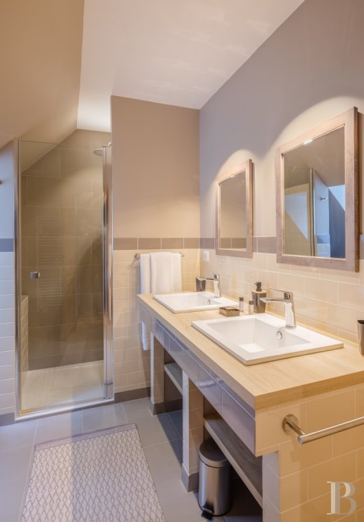 An old mill and miller's house beside a river near Argenton-sur-Creuse in the Indre department  - photo  n°13